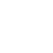 Rollstuhlsport Icon